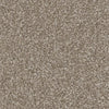 Believer-Broadloom Carpet-Gulistan Floors-G3398 Darling-KNB Mills
