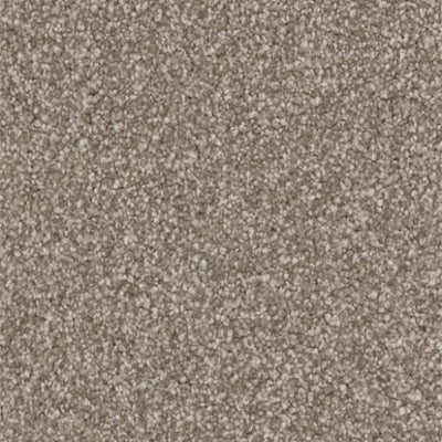 Believer-Broadloom Carpet-Gulistan Floors-G3398 Darling-KNB Mills