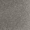 Believer-Broadloom Carpet-Gulistan Floors-G3442 Barnwood-KNB Mills