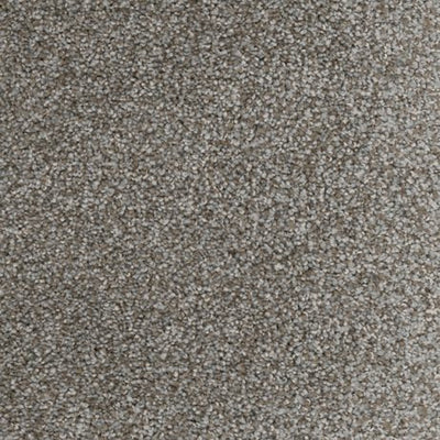 Believer-Broadloom Carpet-Gulistan Floors-G3442 Barnwood-KNB Mills