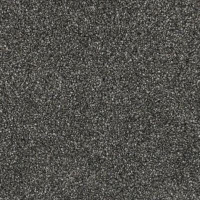 Believer-Broadloom Carpet-Gulistan Floors-G8678 Sophisticated Slate-KNB Mills