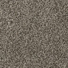 Believer-Broadloom Carpet-Gulistan Floors-G9586 Antique Brown-KNB Mills