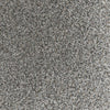 Believer-Broadloom Carpet-Gulistan Floors-G5472 Arctic Air-KNB Mills