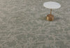 Botan-Broadloom Carpet-Shaw Contract-KNB Mills