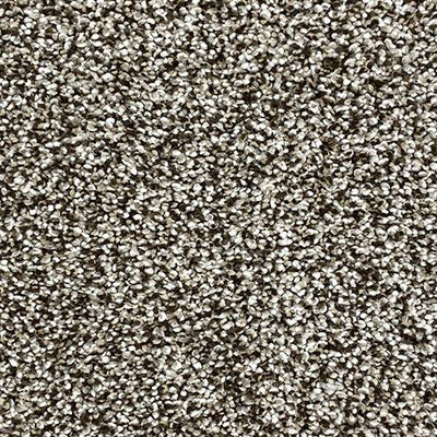 Bradford-Broadloom Carpet-Gulistan Floors-G1362 Portal-KNB Mills