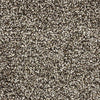 Bradford-Broadloom Carpet-Gulistan Floors-G1759 Cloisters-KNB Mills