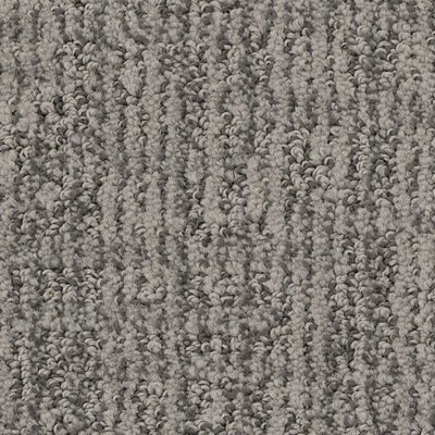 Brighton-Broadloom Carpet-Gulistan Floors-29616 Graphite-KNB Mills