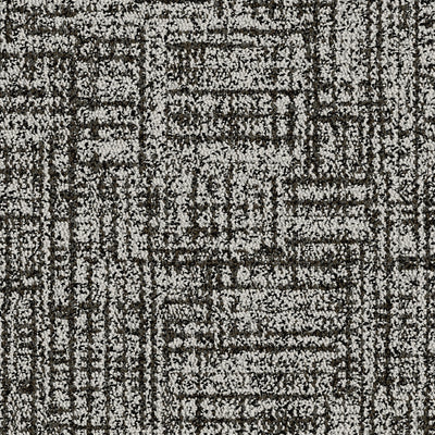 Cache Tweed Carpet Tile-Carpet Tile-Tarkett-Sateen-KNB Mills