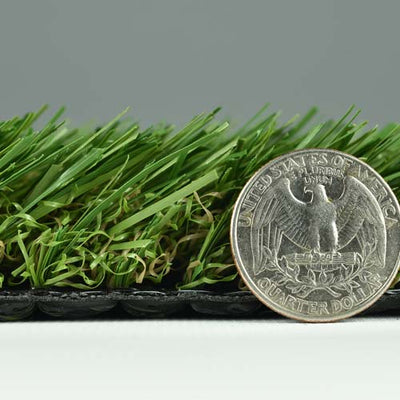 Catalina-Synthetic Grass Turf-GrassTex-G-Field/Olive-Silverback- Perforated-1 ½"-KNB Mills