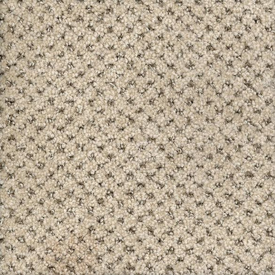 Checkmate-Broadloom Carpet-Marquis Industries-BB001 Quinoa-KNB Mills