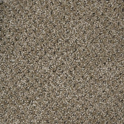 Checkmate-Broadloom Carpet-Marquis Industries-BB003 Macadamia-KNB Mills