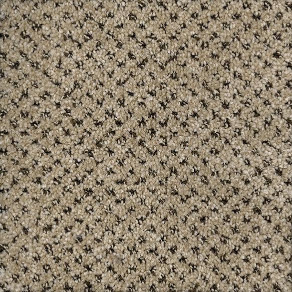 Checkmate-Broadloom Carpet-Marquis Industries-BB001 Quinoa-KNB Mills