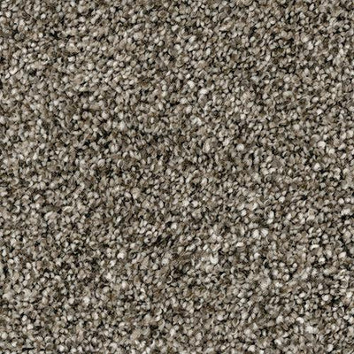 Chelsea-Broadloom Carpet-Marquis Industries-BB008 English Toffee-KNB Mills