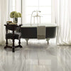 Coliseum Polished 12x24-Tile Stone-Shaw Floors-Shell 00100-KNB Mills