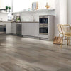 Coliseum Polished 12x24-Tile Stone-Shaw Floors-Shell 00100-KNB Mills