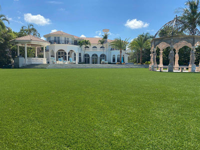 Countryside Deluxe-Synthetic Grass Turf-GrassTex-G-Field/Apple-Silverback- Perforated-1 ½"-KNB Mills