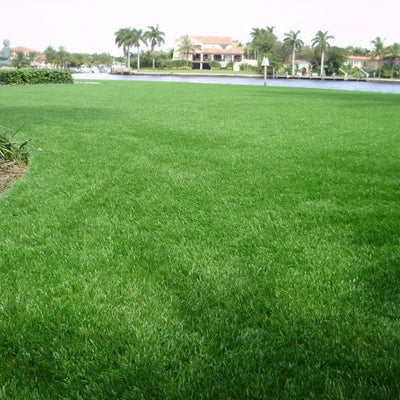 Countryside Deluxe-Synthetic Grass Turf-GrassTex-G-Field/Apple-Silverback- Perforated-1 ½"-KNB Mills