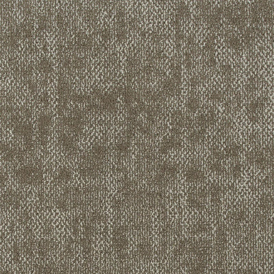 Create Balance Carpet Tile-Carpet Tile-Tarkett-Collaborative Collection-Together-KNB Mills