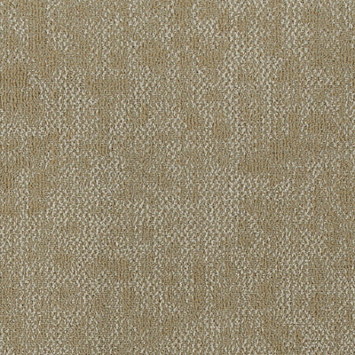 Create Space Carpet Tile-Carpet Tile-Tarkett-Collaborative Collection-Reimagine-KNB Mills