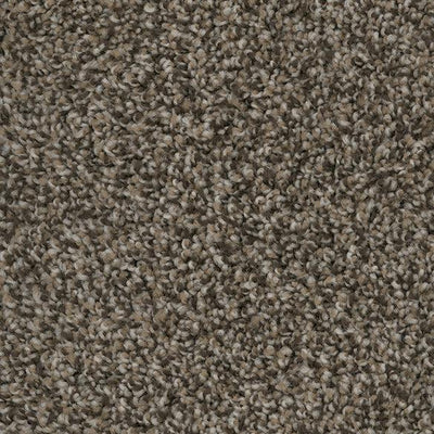 Desire-Broadloom Carpet-Marquis Industries-BB004 Swiss Mocha-KNB Mills