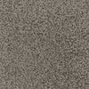 Desire-Broadloom Carpet-Marquis Industries-BB011 Dove-KNB Mills