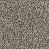 Desire-Broadloom Carpet-Marquis Industries-BB009 Balanced Beige-KNB Mills