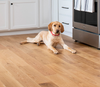 Dogwood-Engineered Hardwood-Bruce-Charles-KNB Mills