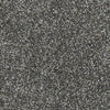 Dream On I-Broadloom Carpet-Marquis Industries-BB005 Graphite Grey-KNB Mills