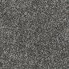 Dream On III-Broadloom Carpet-Marquis Industries-BB005 Graphite Grey-KNB Mills