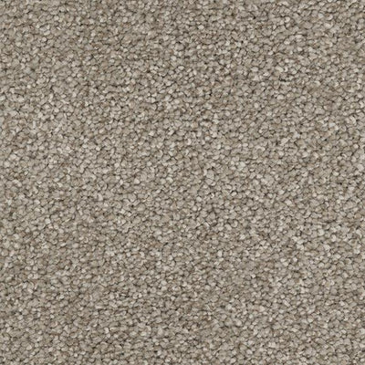 Dream On III-Broadloom Carpet-Marquis Industries-BB001 Oyster Shell-KNB Mills