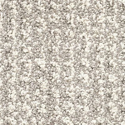 Edinburgh-Broadloom Carpet-Gulistan Floors-G3931 Dolphin Fin-KNB Mills