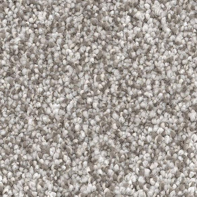 Extraordinary-Broadloom Carpet-Marquis Industries-BB011 Paver Stone-KNB Mills