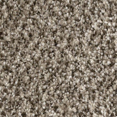 Extraordinary-Broadloom Carpet-Marquis Industries-BB012 Toasted Almond-KNB Mills