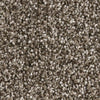 Extraordinary-Broadloom Carpet-Marquis Industries-BB013 Chocolate Chip-KNB Mills