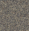 Field Trip-Broadloom Carpet-Shaw Contract-09-KNB Mills