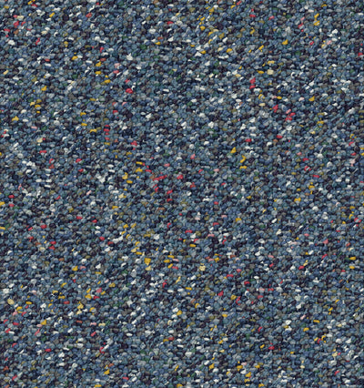 Field Trip-Broadloom Carpet-Shaw Contract-13-KNB Mills