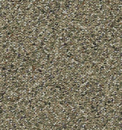 Field Trip-Broadloom Carpet-Shaw Contract-16-KNB Mills