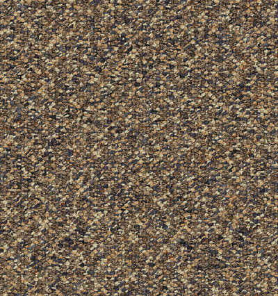 Field Trip-Broadloom Carpet-Shaw Contract-17-KNB Mills