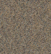 Field Trip-Broadloom Carpet-Shaw Contract-18-KNB Mills