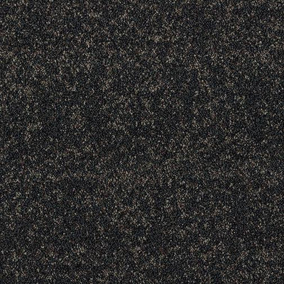 First Sight Carpet Tile-Carpet Tile-Milliken-Sandscape Drift-KNB Mills