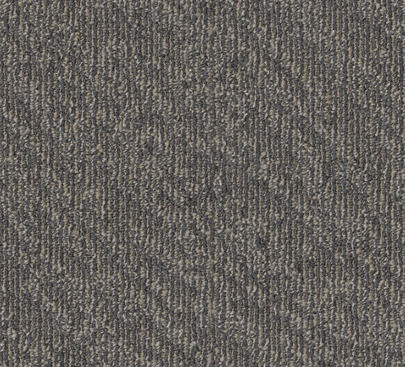 Fond-Broadloom Carpet-Shaw Contract-Vivid-KNB Mills