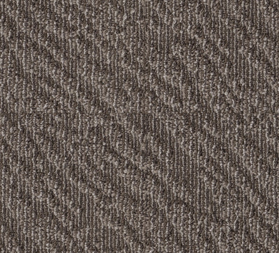 Fond + Friendly-Broadloom Carpet-Shaw Contract-Fond Encouraging-KNB Mills