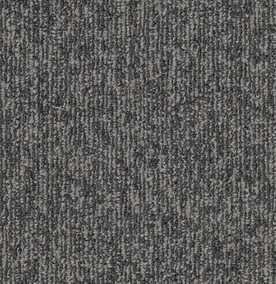 Fond + Friendly-Broadloom Carpet-Shaw Contract-Friendly Attentive-KNB Mills