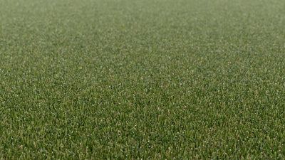 Fresh Rye-Synthetic Grass Turf-Shawgrass-KNB Mills