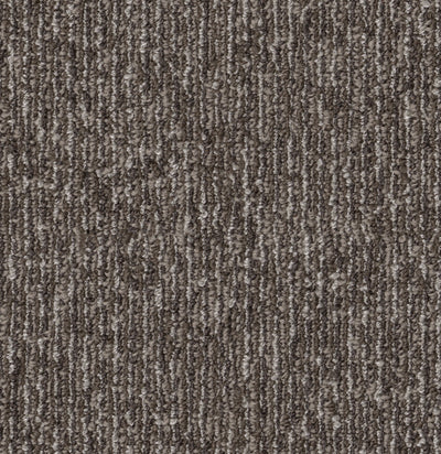 Friendly-Broadloom Carpet-Shaw Contract-Encouraging-KNB Mills