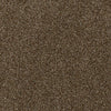 High Five-Broadloom Carpet-Earthwerks-High Five Boss Tweed-KNB Mills