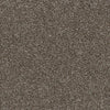 High Five-Broadloom Carpet-Earthwerks-High Five Silver Lining-KNB Mills