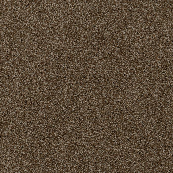 High Five-Broadloom Carpet-Earthwerks-High Five Beach Day-KNB Mills