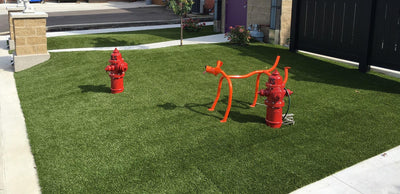 K9 Park-Synthetic Grass Turf-Shawgrass-KNB Mills