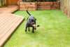 K9 Park-Synthetic Grass Turf-Shawgrass-KNB Mills